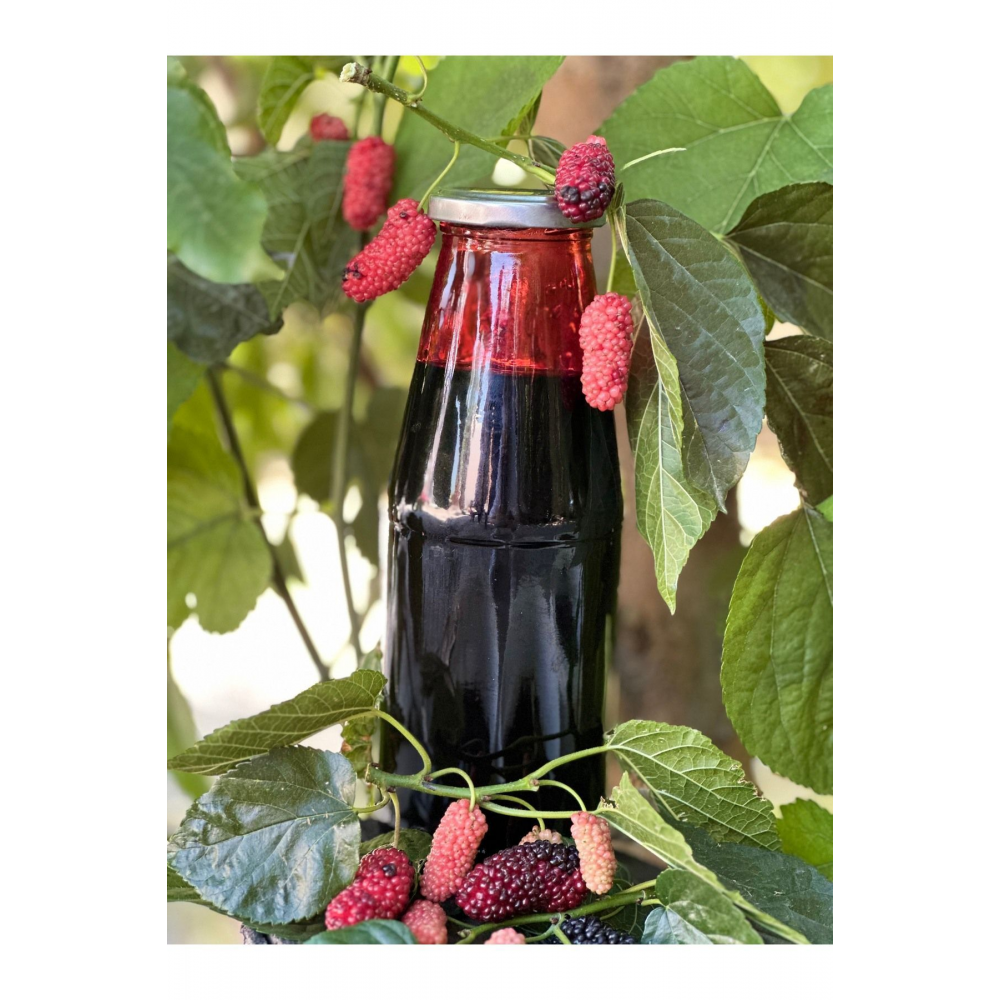 Karadut 950 gr X 3 Adet