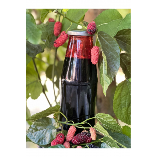 Karadut 950 gr X 3 Adet