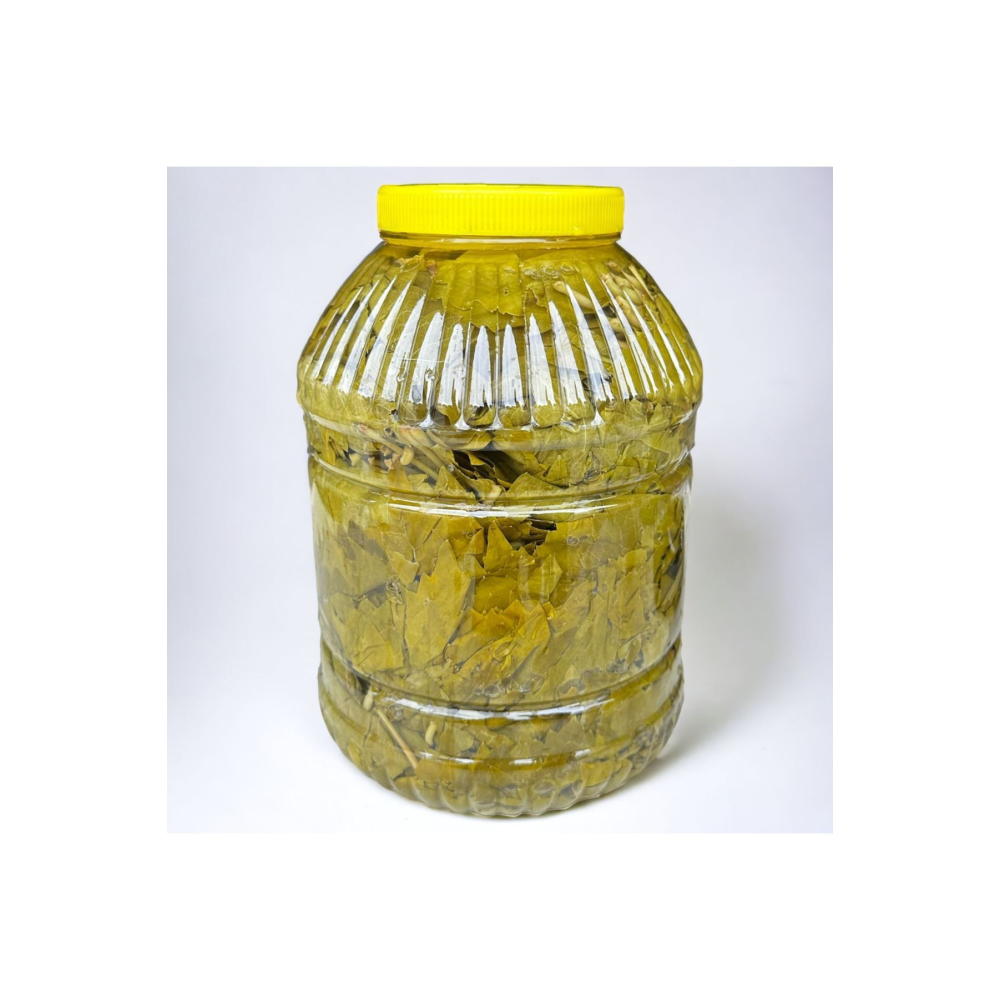 Ilk Hasat 2024 Damarsız Asma Yaprağı 5 Kilogram