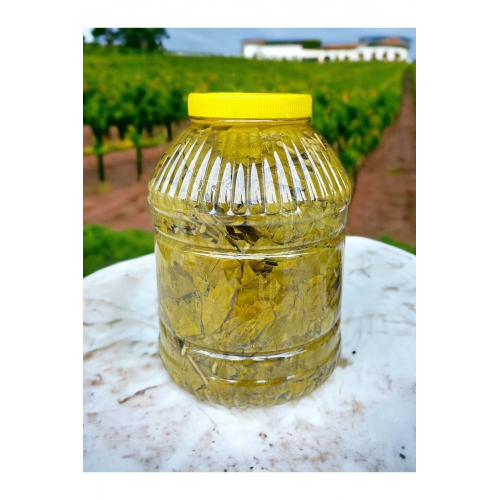 Ilk Hasat 2024 Damarsız Asma Yaprağı 5 Kilogram( Alaşehir )