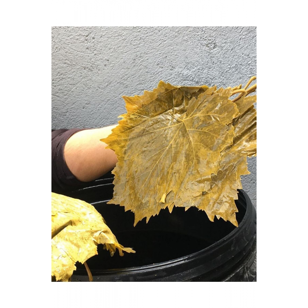 Manisa Taze Salamura Bağ Yaprağı 10 Kğ