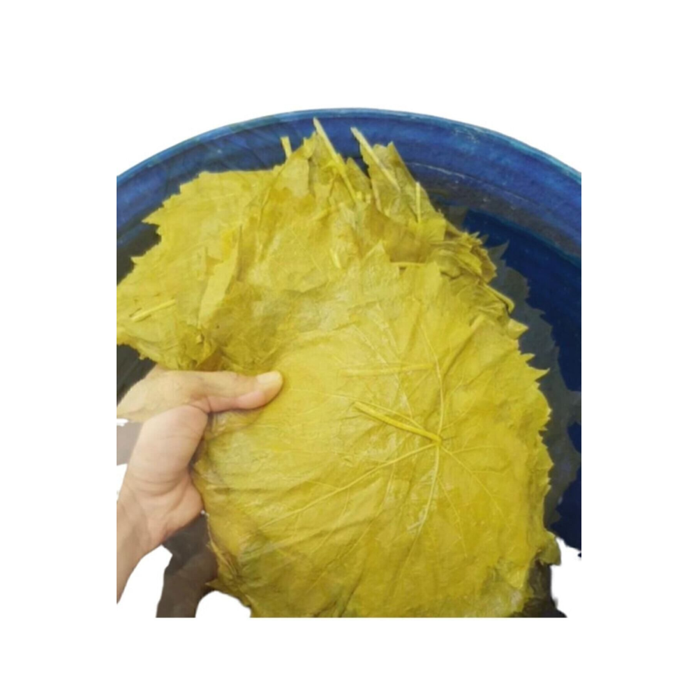 Manisa Turgutlu Sultaniye Salamura Asma Yaprak Yeni Mahsül