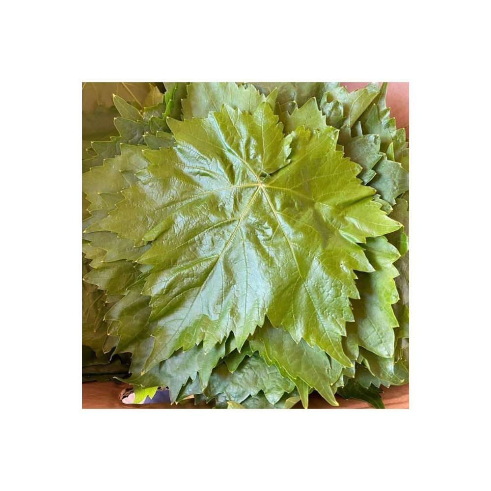 Uç Salamura Yaprak 5 Lt