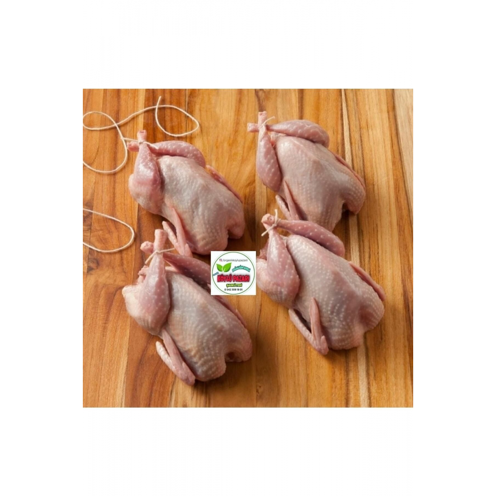 10 Adet Kesilmiş Temizlenmiş Bıldırcın