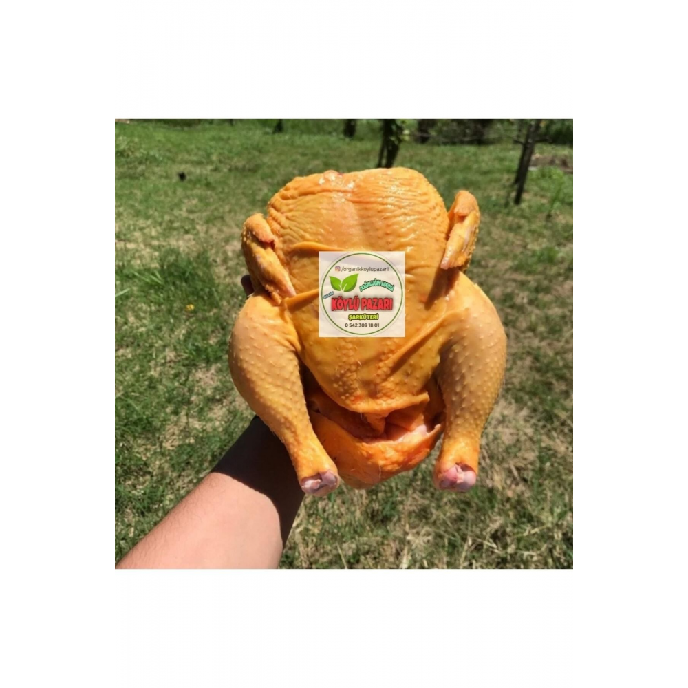 Serbest Gezen Köy Tavuğu 3.5 Kg