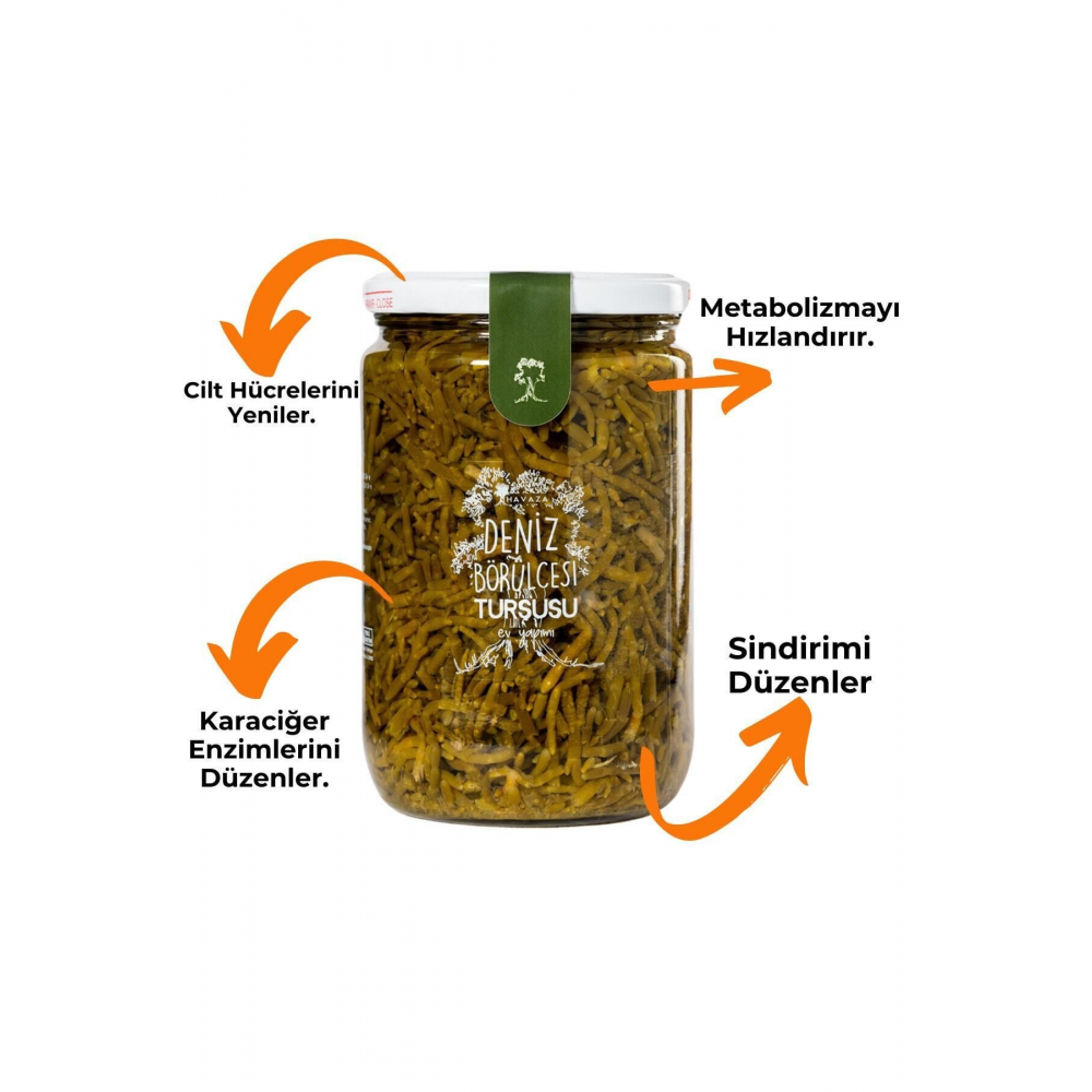 Deniz Börülcesi Turşusu-720 Gr. (ev Yapımı)