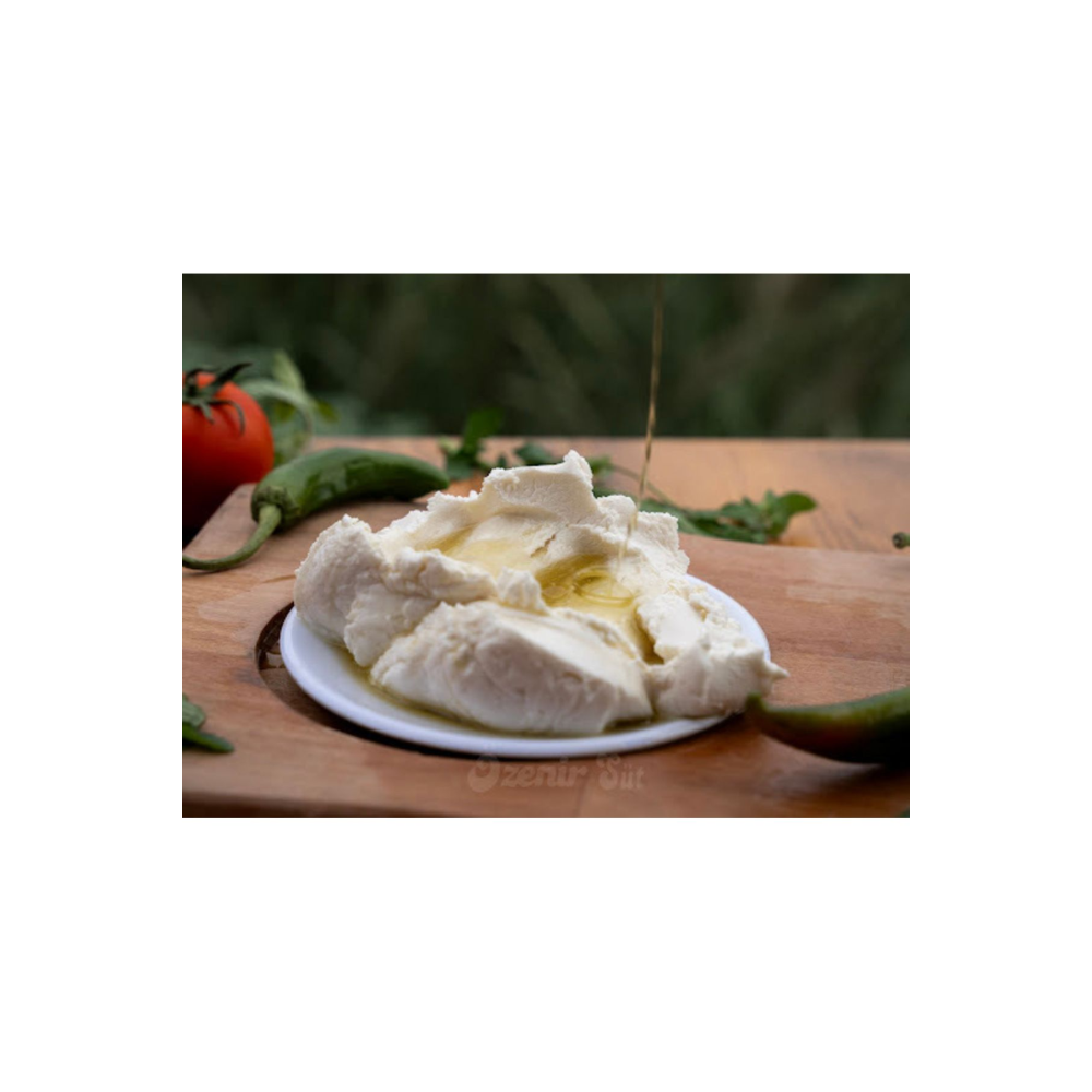 Hatay Antakya Camtuzlu Yoğurt 1kg