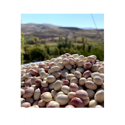 Ispir Fasulyesi - 1 Kg