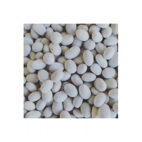 Ispir(şeker) Fasülyesi