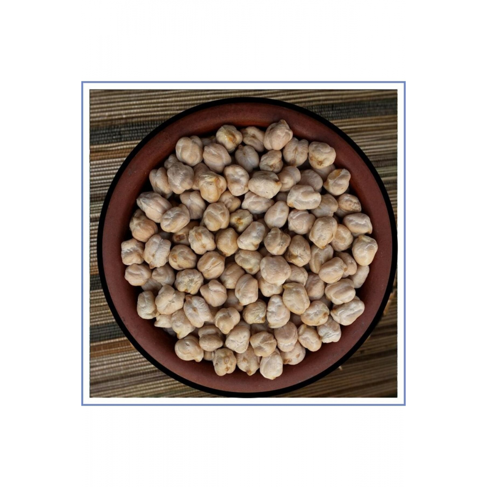 Nohut Atalık Tohum ( 500 Gr. )