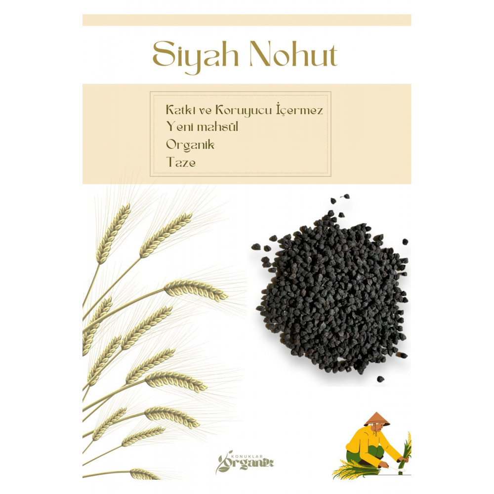 Siyah Nohut