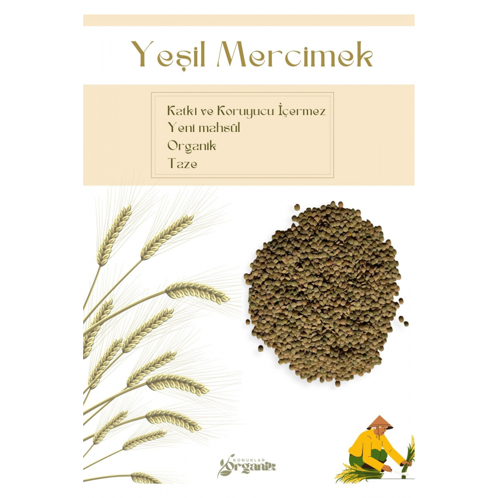 Yeşil Mercimek