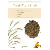Yeşil Mercimek