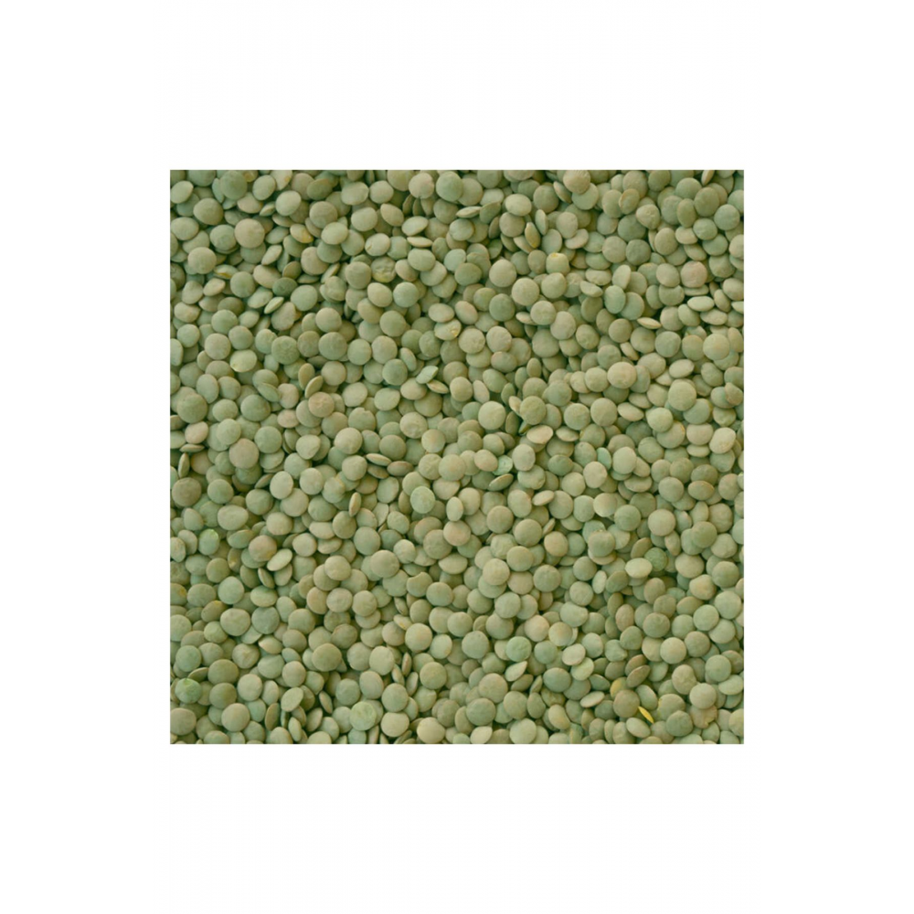 Yozgat Sultani Yeşil Mercimek 1 Kg