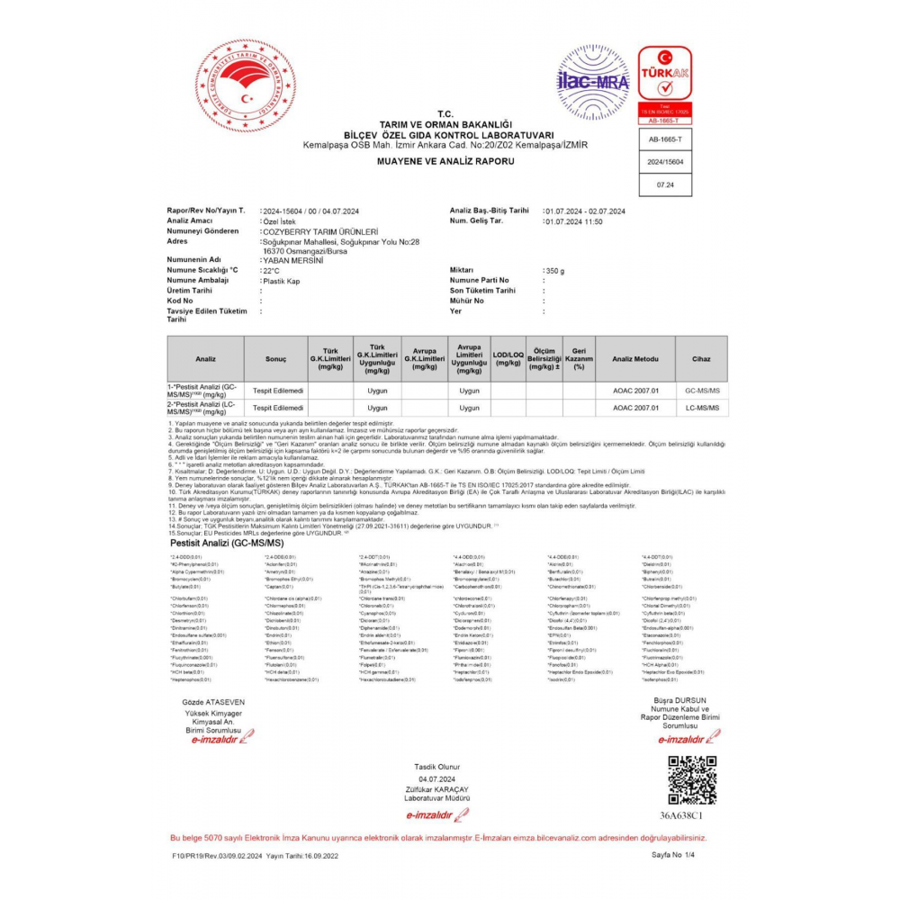 Taze Yaban Mersini 1000 Gr