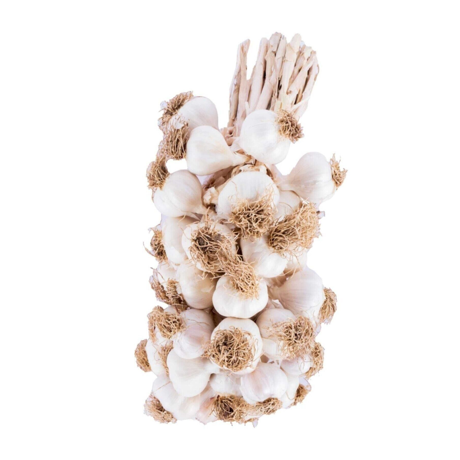 Taşköprü Sarımsağı/kastamonu -tescilli-coğrafi Işaretli-orijinal Küçük Boy -1 Kg. Fiyat