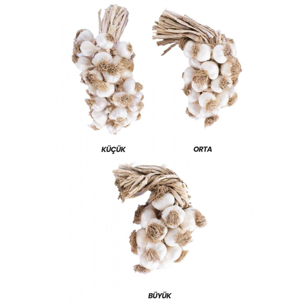 Taşköprü Sarımsağı/kastamonu -tescilli-coğrafi Işaretli-orijinal Küçük Boy -1 Kg. Fiyat