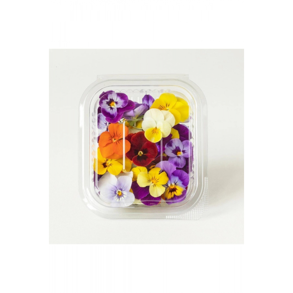 Yenilebilir Çiçekler- Karışık Renkli Menekşe (25'Lİ PAKET)