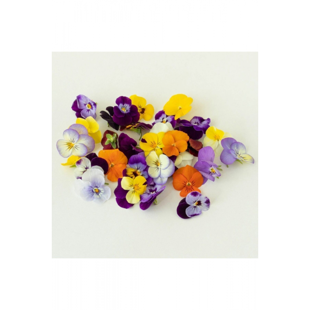 Yenilebilir Çiçekler- Karışık Renkli Menekşe (25'Lİ PAKET)