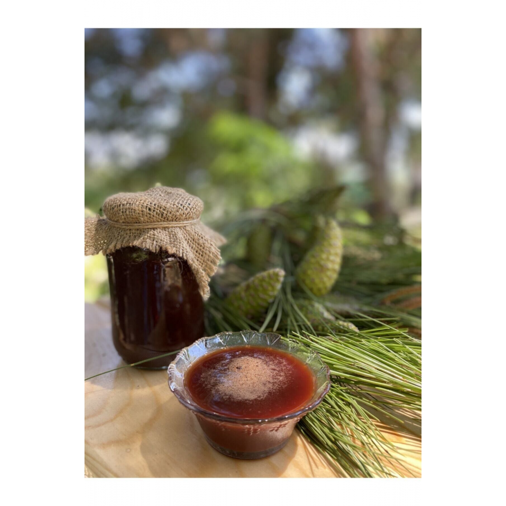 Çam Kozalak Şurubu 450 gr