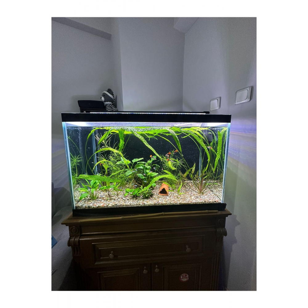 43 Cm (50-55 CM UYUMLU) Fullspectrum 4 Renk Armatür 2 Sıra Osram Marka Ledli 1320 Lümen