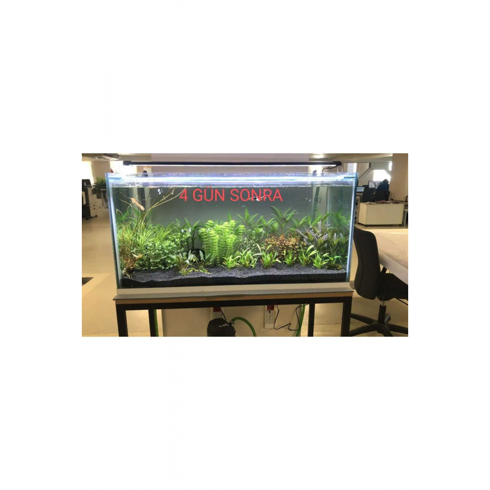 43 Cm (50-55 CM UYUMLU) Fullspectrum 4 Renk Armatür 2 Sıra Osram Marka Ledli 1320 Lümen