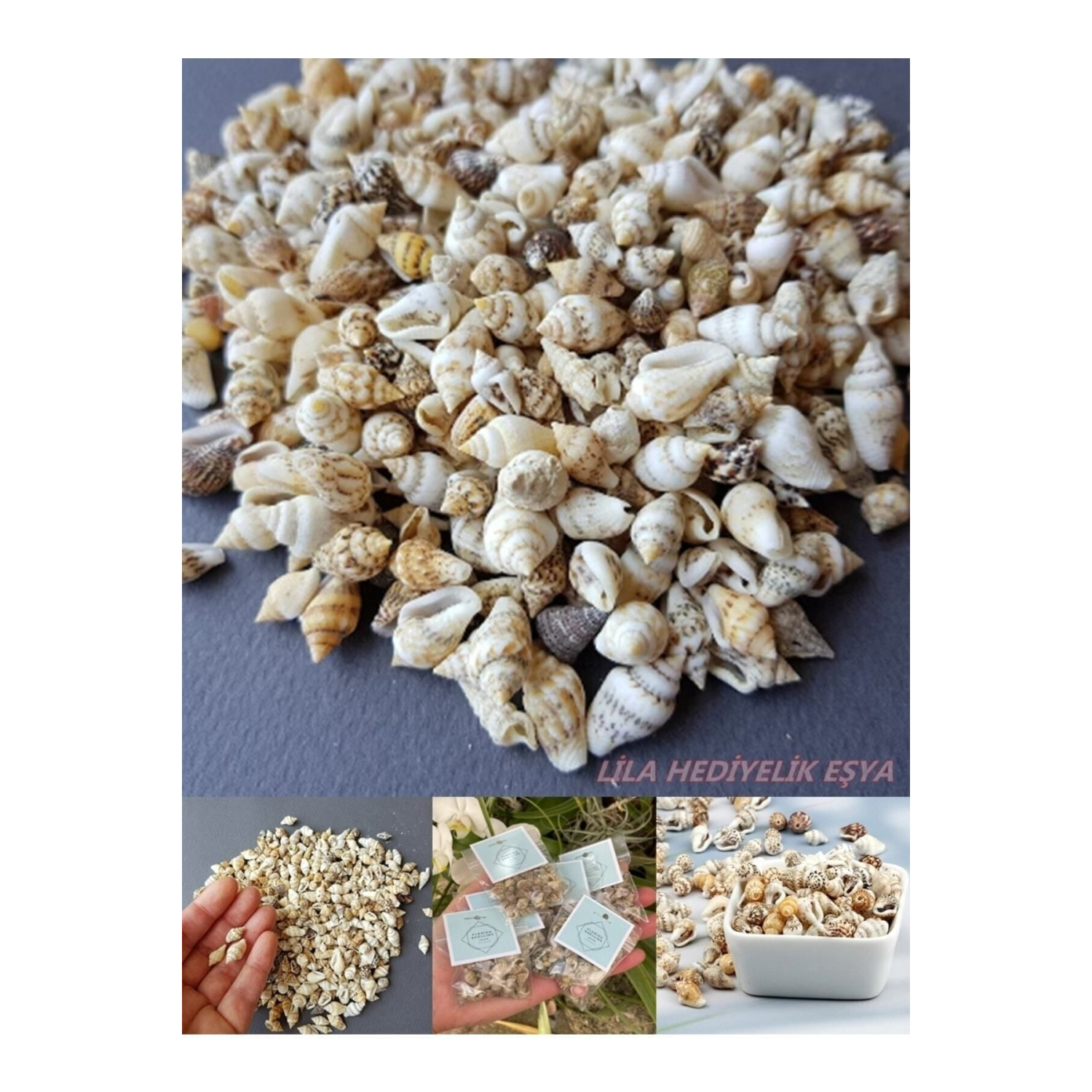 250 Adet Nassa Shell Doğal Deniz Kabuğu (BOYUT ORTALAMA 1 CM)