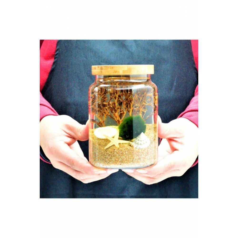 Şans Getiren Marimo Patara