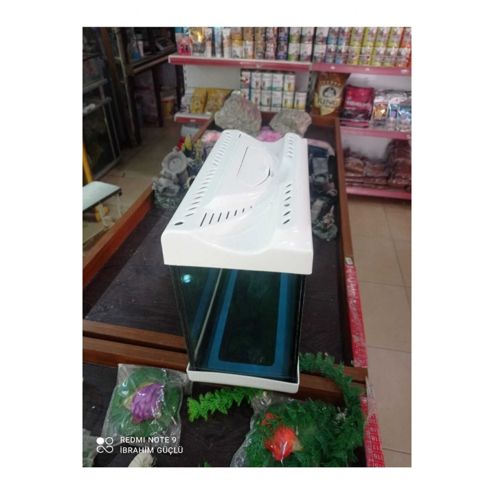 Akvaryum 30cm Tüm Renkler Ikizler Akvaryum