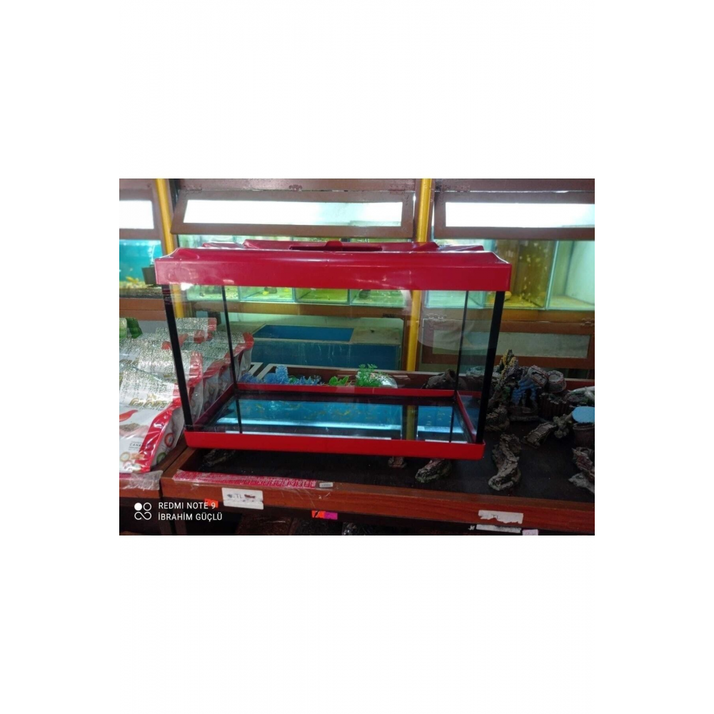 Akvaryum 30cm Tüm Renkler Ikizler Akvaryum