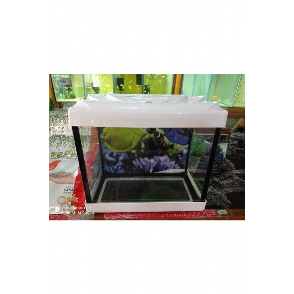 Ikizler Akvaryum 22.5 Cm Tüm Renkler