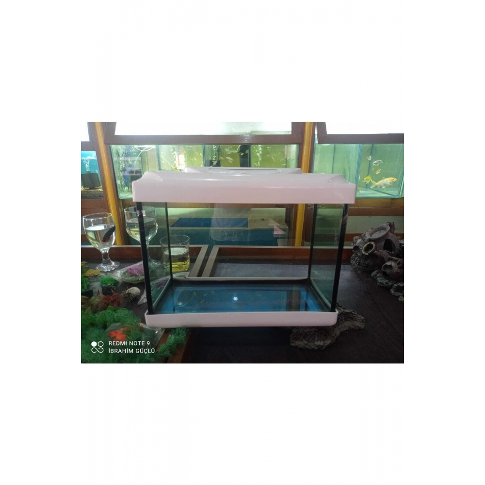 Ikizler Akvaryum 35cm Kırmızı Beyaz Sıyah Sarı Mavi