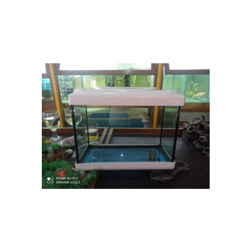 Ikizler Akvaryum 35cm Kırmızı Beyaz Sıyah Sarı Mavi