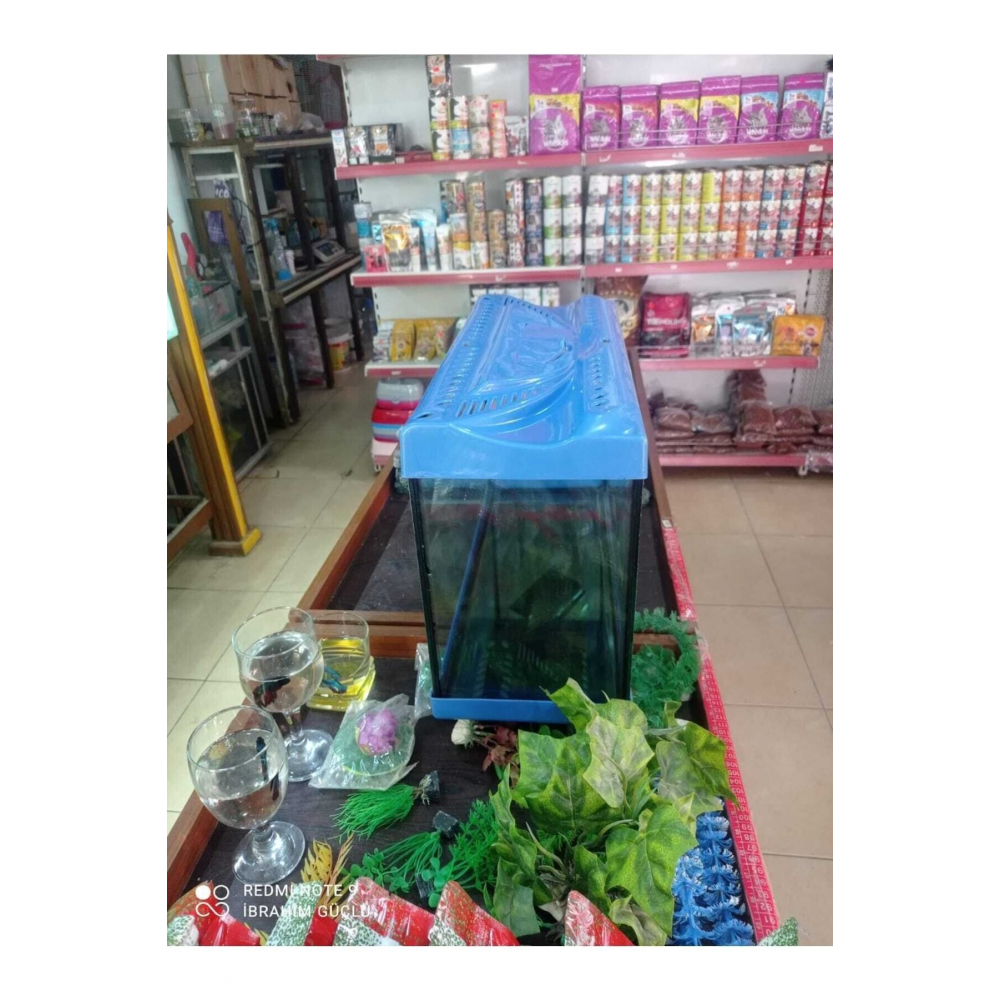 Ikizler Akvaryum 35cm Kırmızı Beyaz Sıyah Sarı Mavi