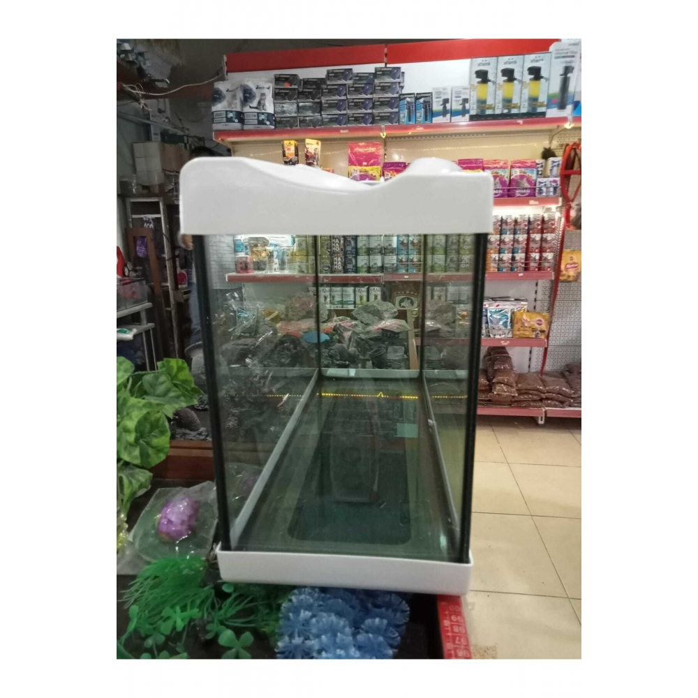 Ikizler Akvaryum 35cm Kırmızı Beyaz Sıyah Sarı Mavi