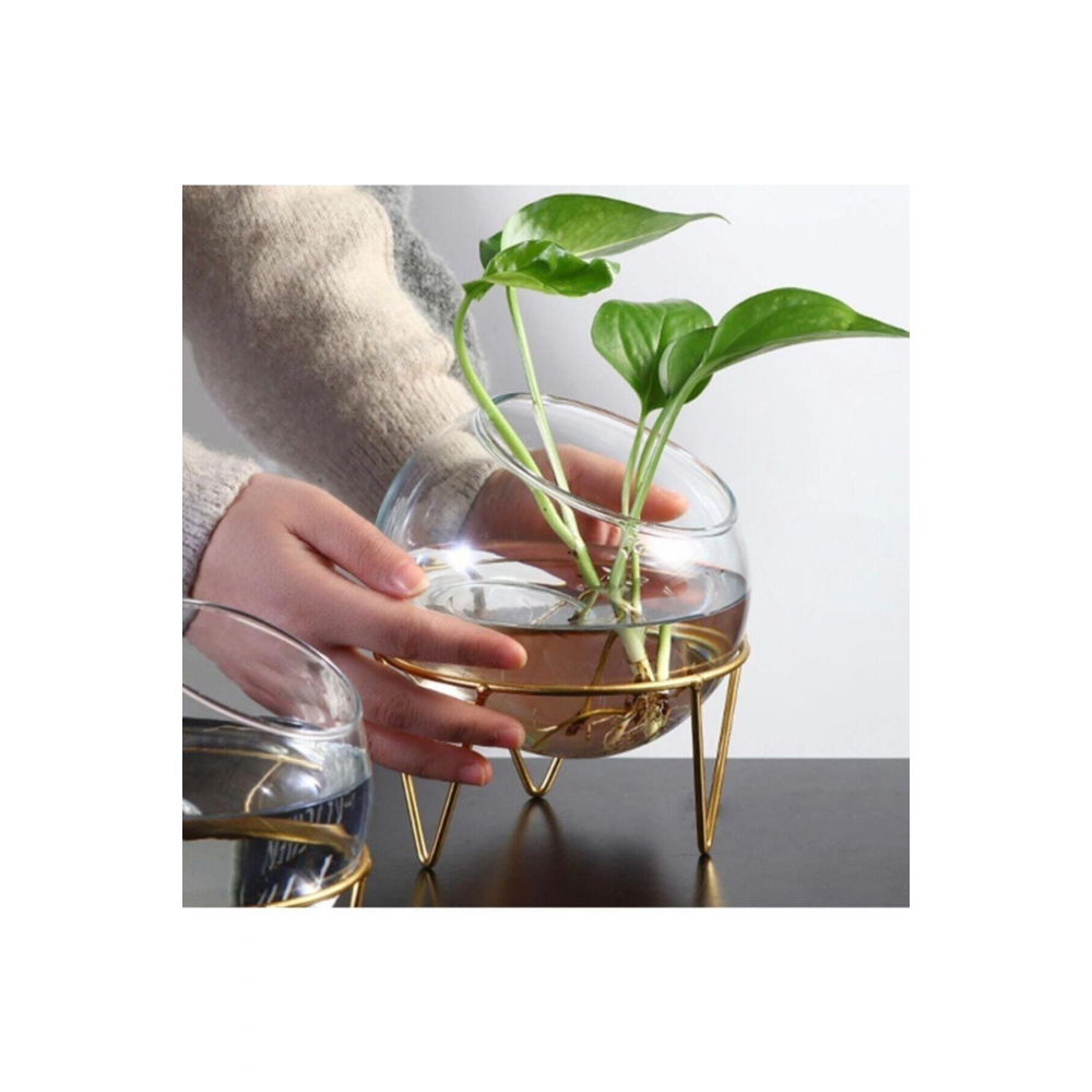 Özel Tasarım Cam Fanus, Cam Saksı, Meyvelik, Cam Mumluk, Akvaryum