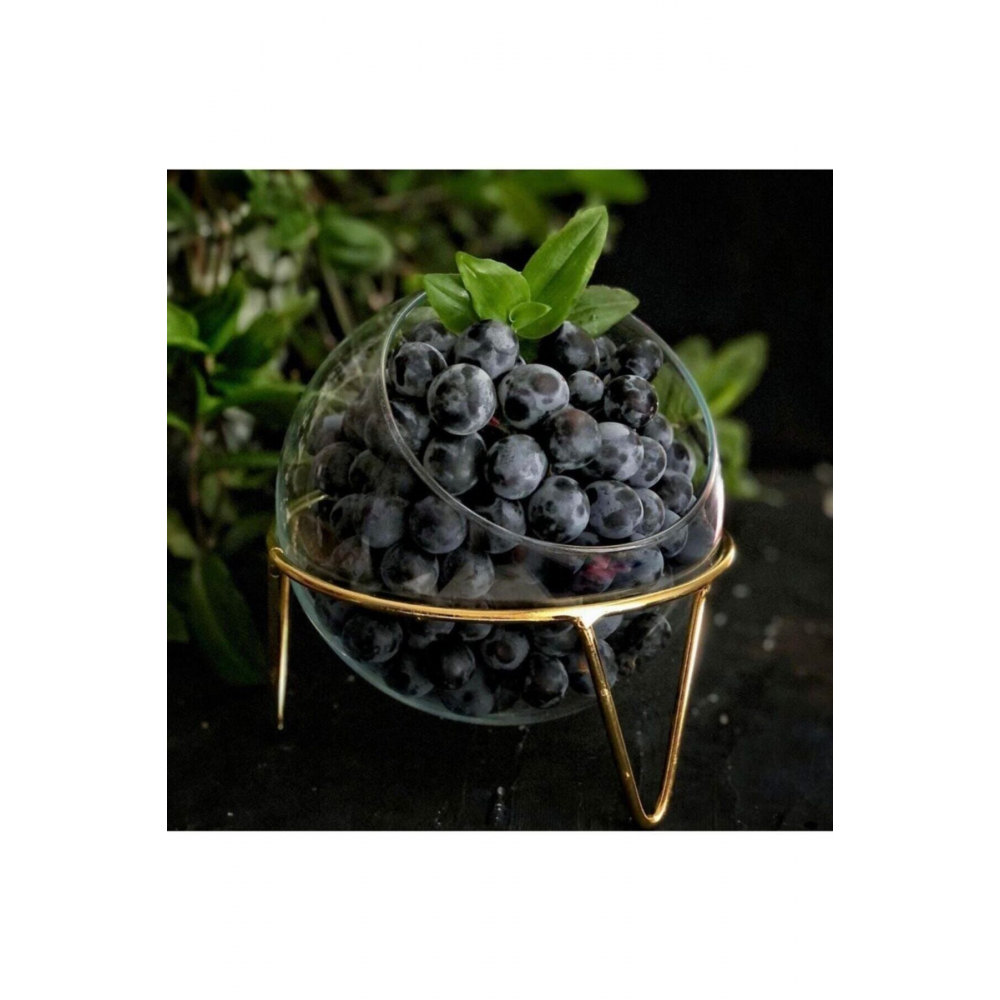 Özel Tasarım Cam Fanus, Cam Saksı, Meyvelik, Cam Mumluk, Akvaryum