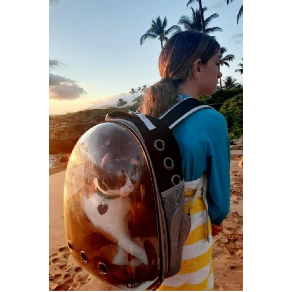 Kedi Taşıma Çantası Siyah El Ve Sırt Çantası 9hava Kanalı Kedi Taşıma Çantası File