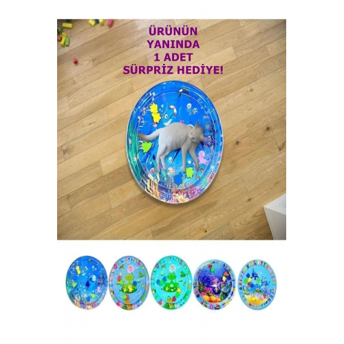 Kedi Ve Köpekler İçin Su Havuzu Su Matı Su Havuz Oyuncağı