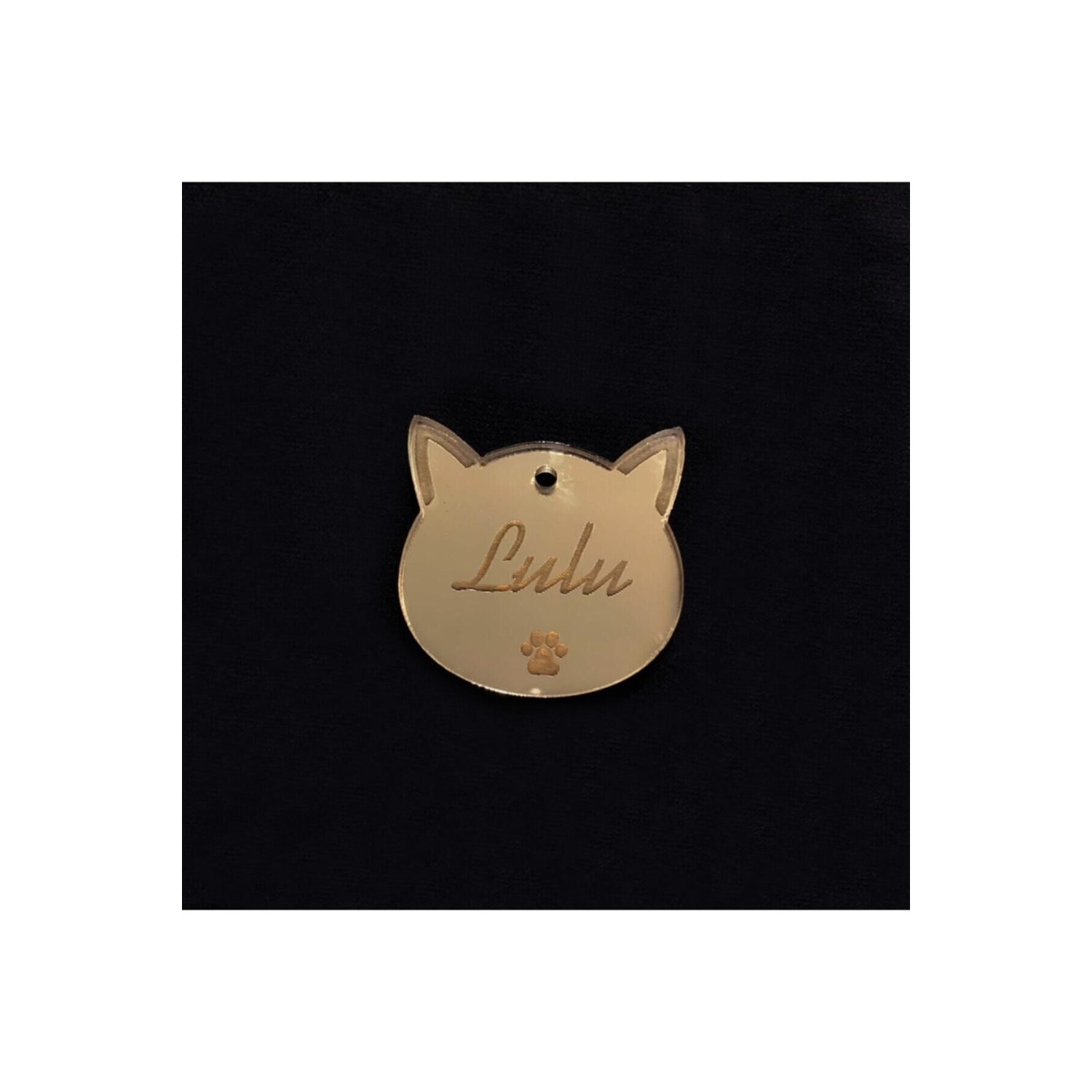 Gümüş Kedi Künye Isimlik Pleksi 2 Adet 3x3 Cm