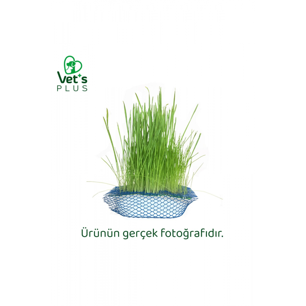 %100 Doğal Fileli Kedi Çimi (Tüy Yumağı Önleyici)