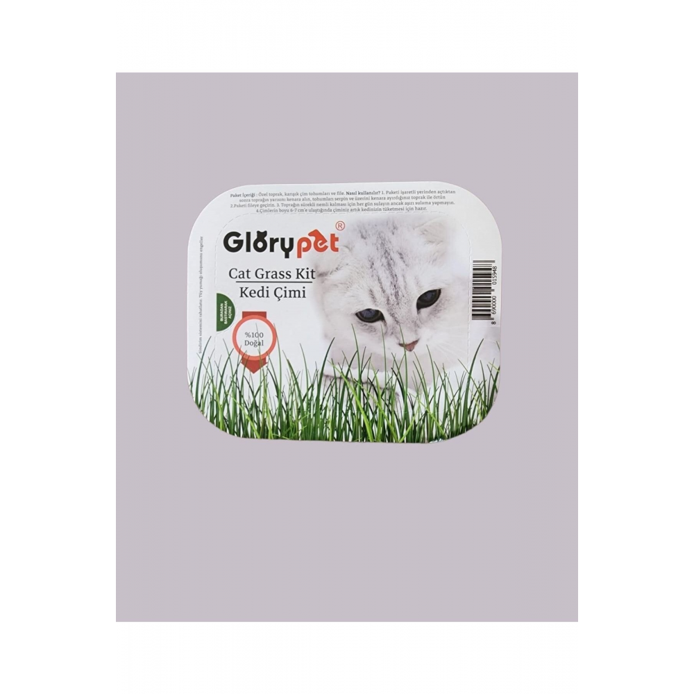 Gıory Pet Cat Grass Kit %100 Doğal Fileli Kedi Çimi (tüy Yumağı Önleyici)