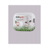Gıory Pet Cat Grass Kit %100 Doğal Fileli Kedi Çimi (tüy Yumağı Önleyici)