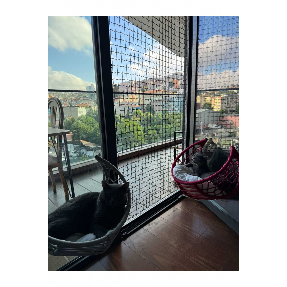 2x2 Siyah kedi çocuk filesi