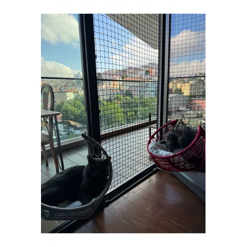 2x2 Siyah kedi çocuk filesi