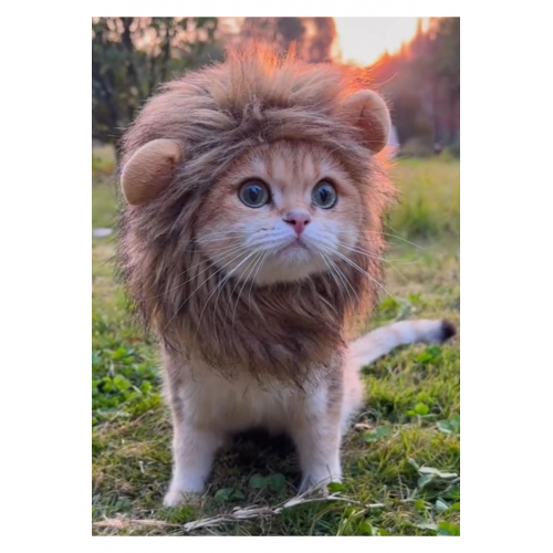 Aslan Yelesi Peruk Leriniz Için Vahşi Ve Eğlenceli Kostüm 1 Yaş Ve Üstü Medium Beden