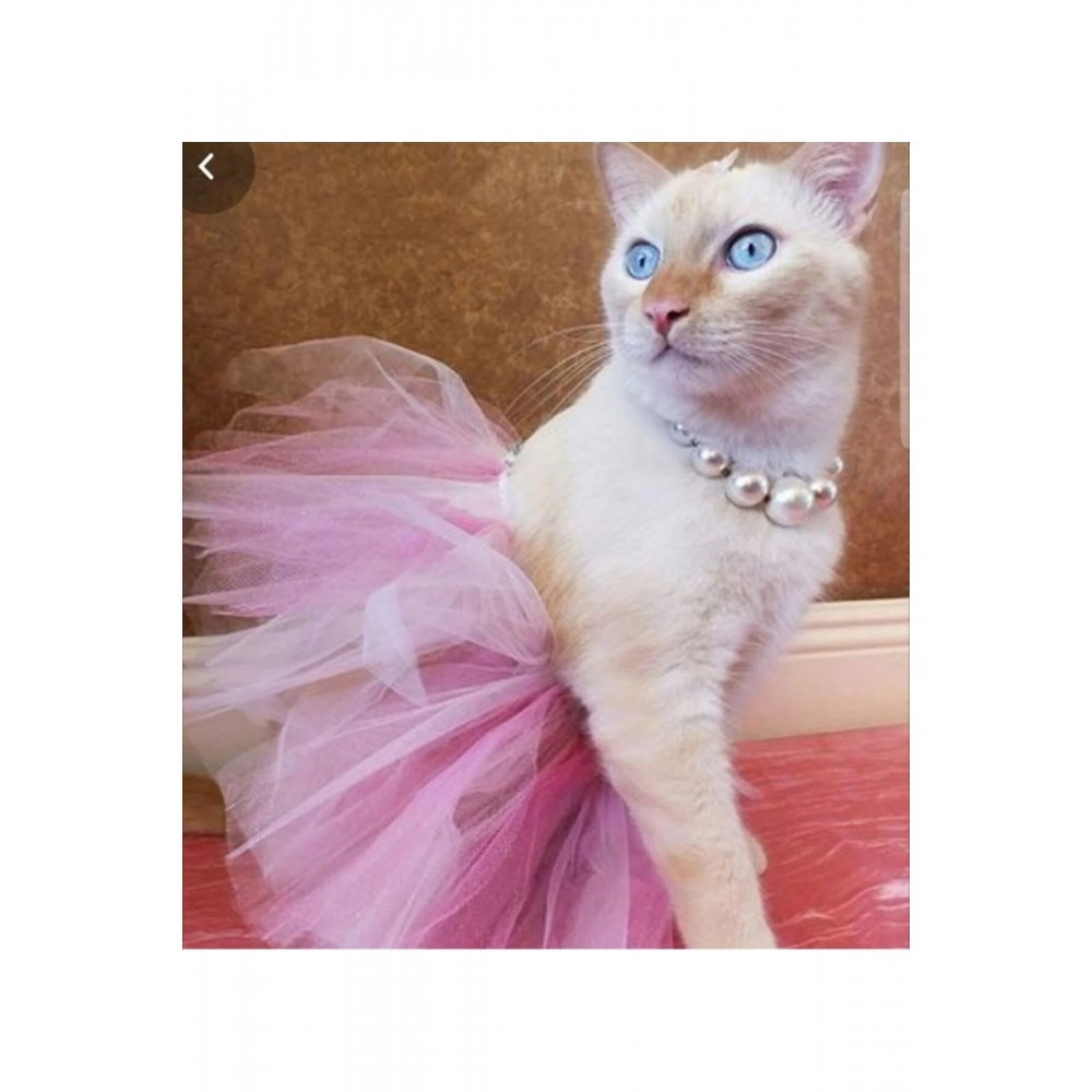 Canbutik Kedi Tütü Etek