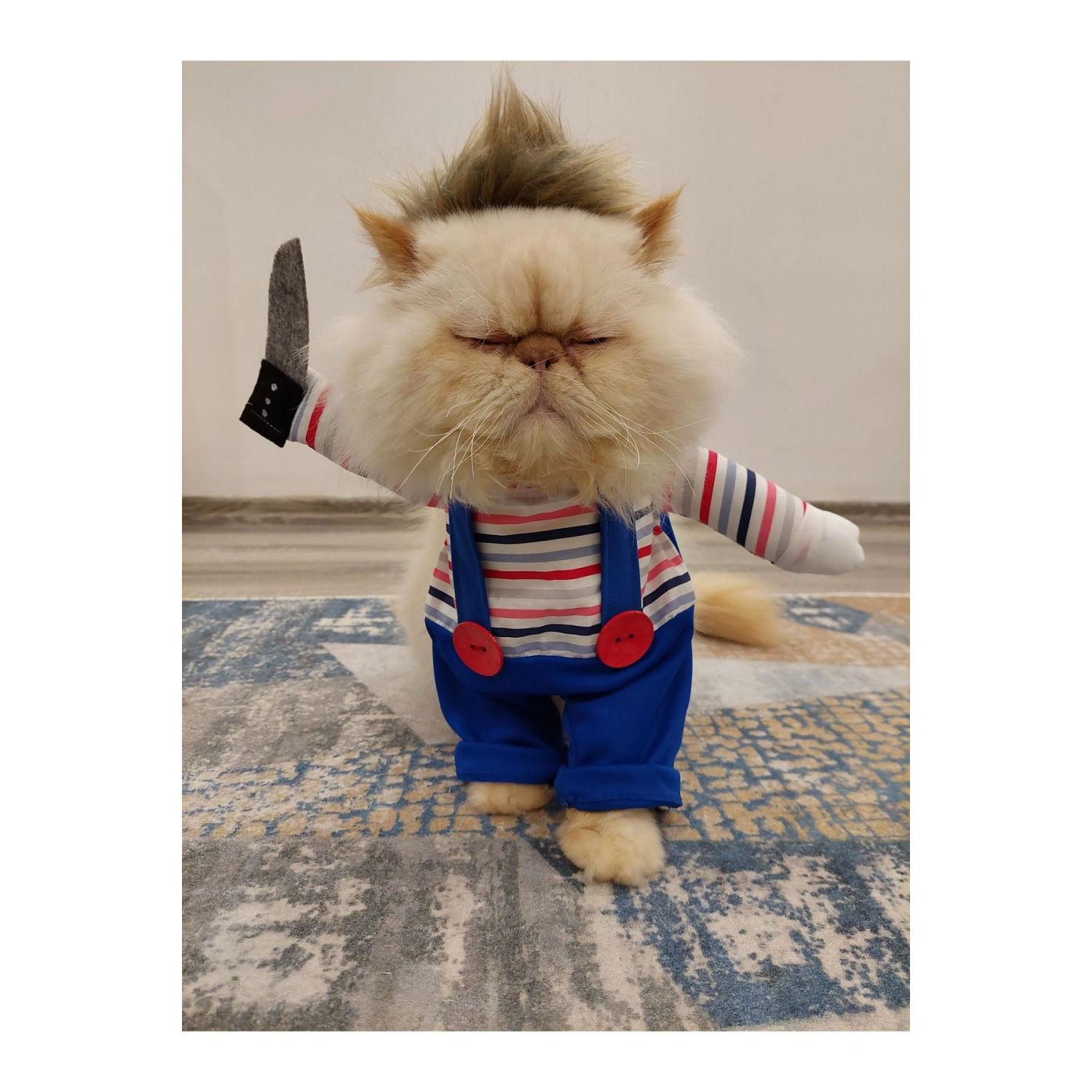 Katil Bebek Chucky (0-2 KG) Kedi Kostümü - Xxs