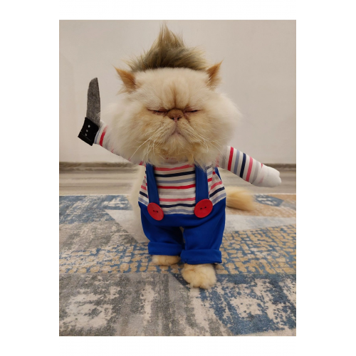 Katil Bebek Chucky (0-2 KG) Kedi Kostümü - Xxs