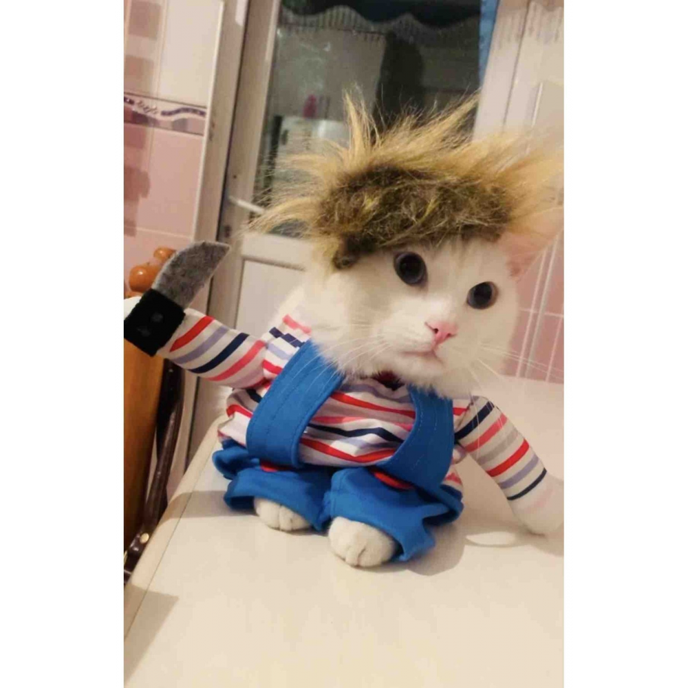 Katil Bebek Chucky (0-2 KG) Kedi Kostümü - Xxs